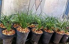 娱乐圈“吃瓜盛宴”背后的人物动态：明星们的私下故事与公众反差